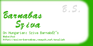 barnabas sziva business card